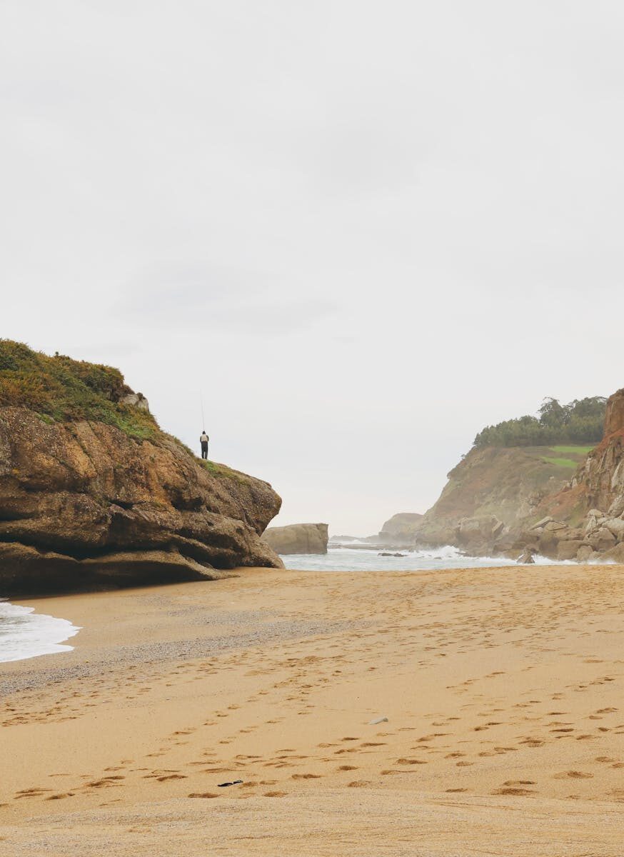 Government Agencies in Arbitration