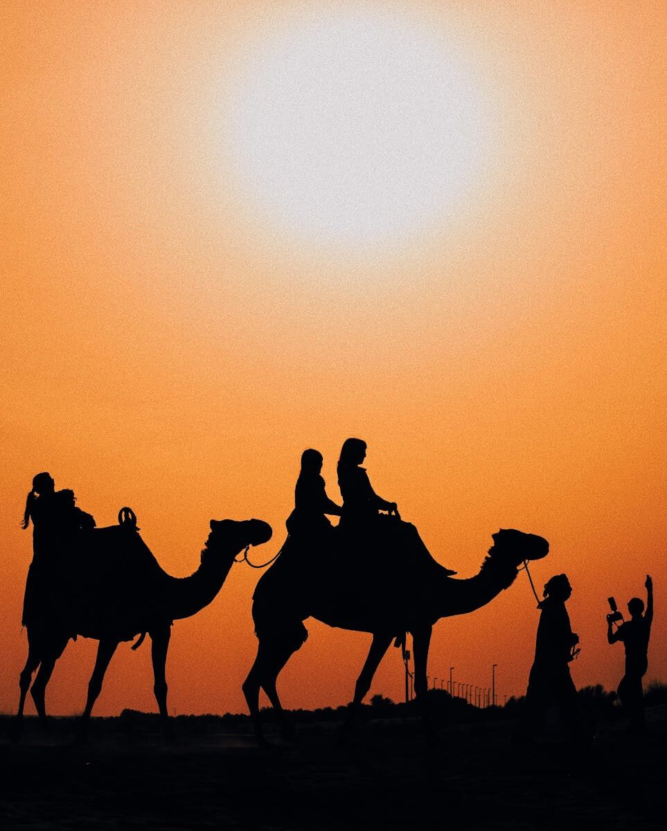 Impact of Arbitration